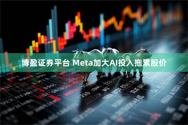 博盈证券平台 Meta加大AI投入拖累股价